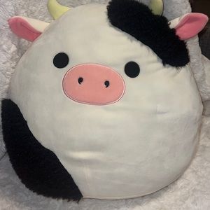 16in Connor squishmallow